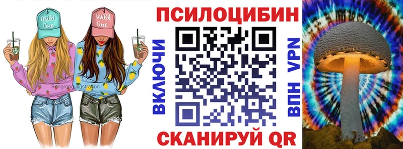 Псилоцибиновые грибы Psilocybine cubensis  Вилюйск 